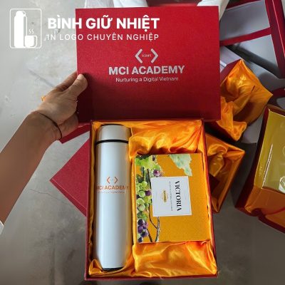 Bộ Giftset quà tặng in logo gồm bình giữ nhiệt và hộp nho khô BGS-26
